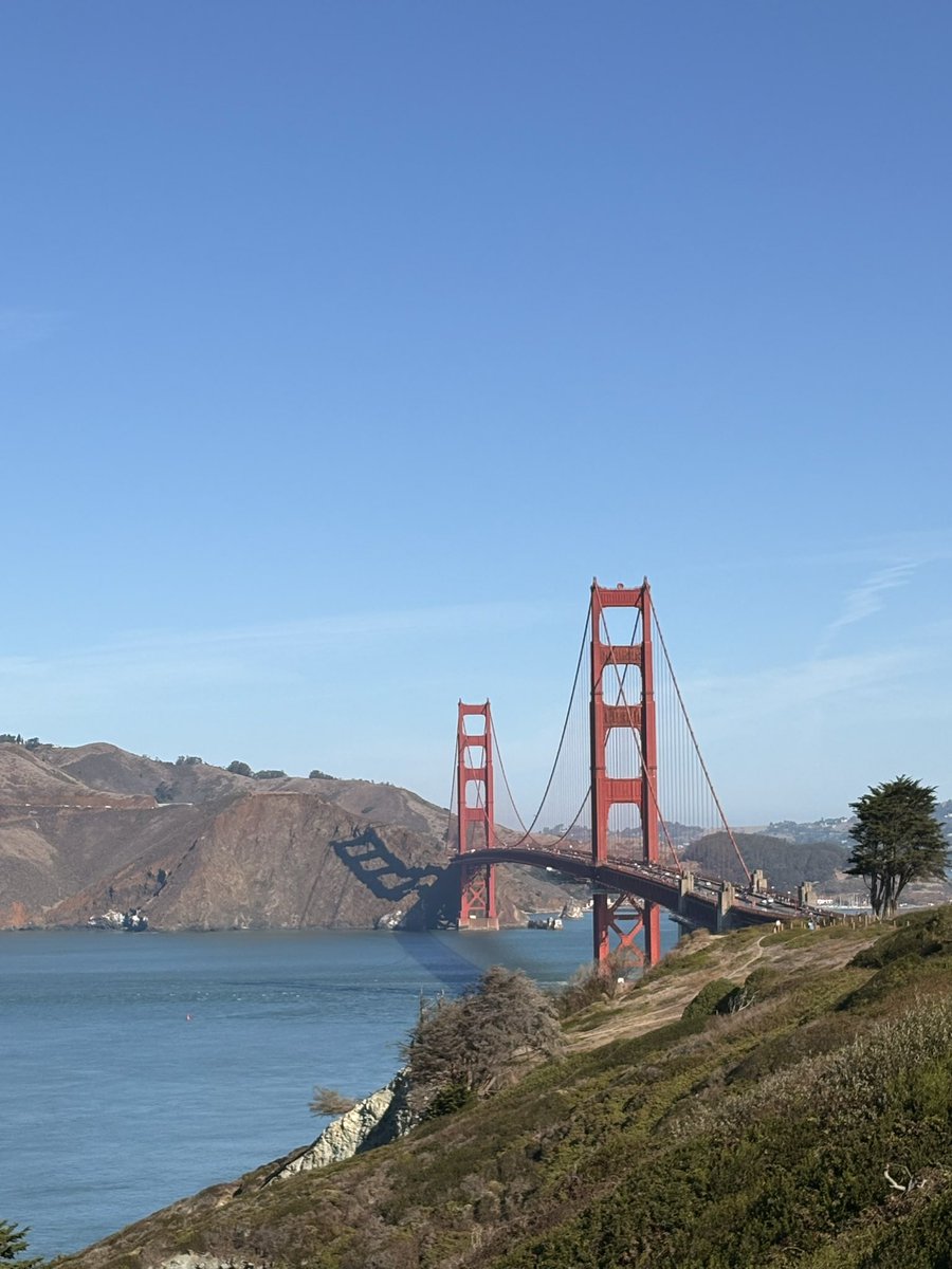 Thumbnail of www-x-com-camfassett-status-1848080338452431316-40bb4eb7bc2149ea