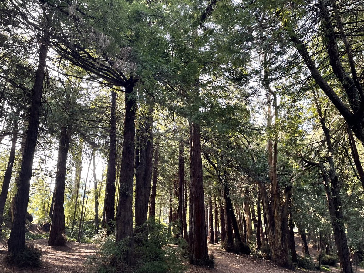 Thumbnail of www-x-com-camfassett-status-1848080338452431316-40bb4eb7bc2149ea