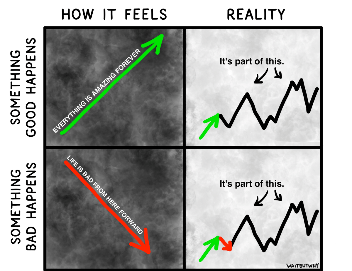 Thumbnail of httpstwittercomwaitbutwhystatus1484579394697977861