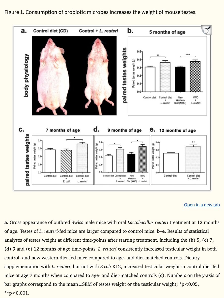 Thumbnail of www-x-com-aestheticprimal-status-1898414289016201340-4718f020734a4c34
