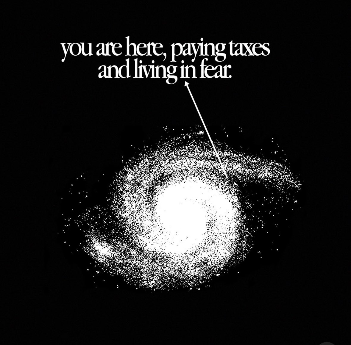 Thumbnail of www-x-com-lukebelmar-status-1888630133289898125-47ea5c11934f42a1