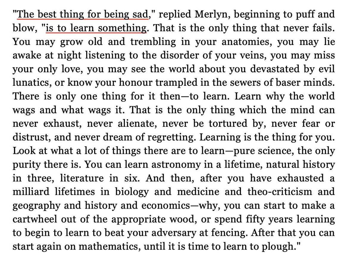 Thumbnail of www-x-com-faeslily-status-1879528076360687999-530b35ca32f44bf7