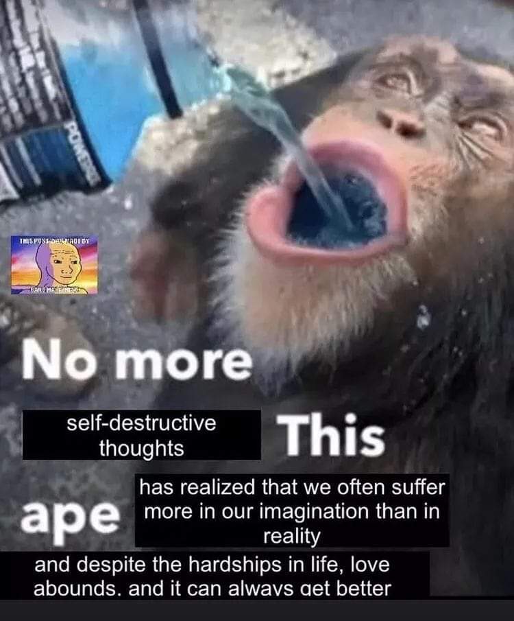 Thumbnail of www-x-com-respectfulmemes-status-1865033460697497793-6180244f06b44bad