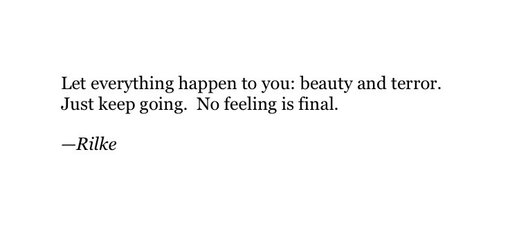 Thumbnail of www-twitter-com-joseph-fasano-status-1731343324189982959