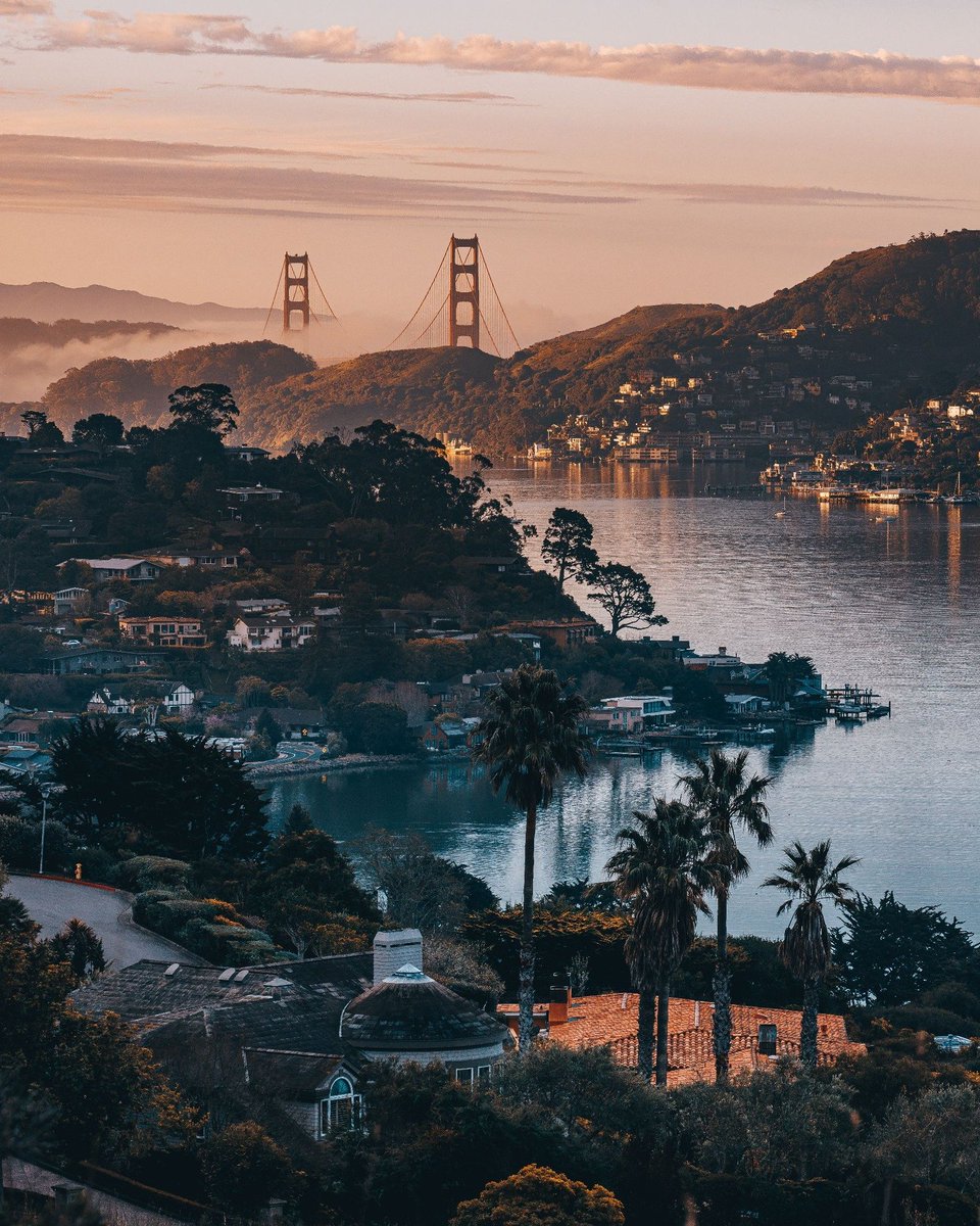 Thumbnail of www-x-com-paularambles-status-1894854755966689461-695d5a81e8fc473f