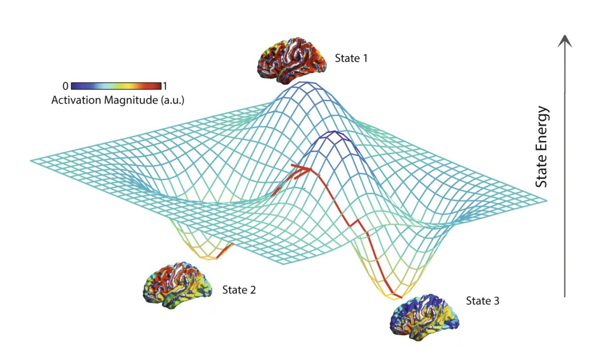 Thumbnail of www-x-com-mitopsychobio-status-1907383255877247105