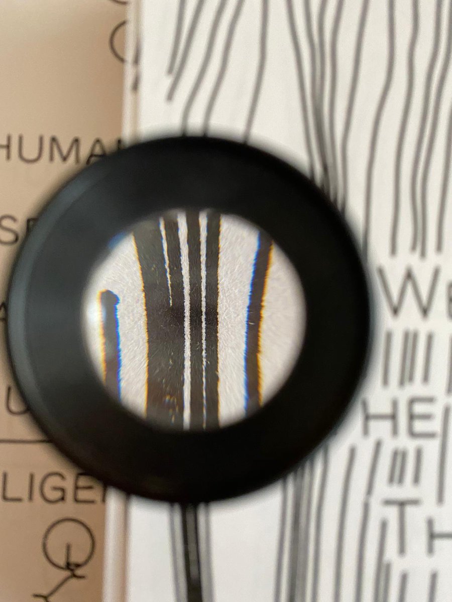 Thumbnail of www-x-com-sterlingcrispin-status-1391849434107965444-7433dbe5cf2b4196