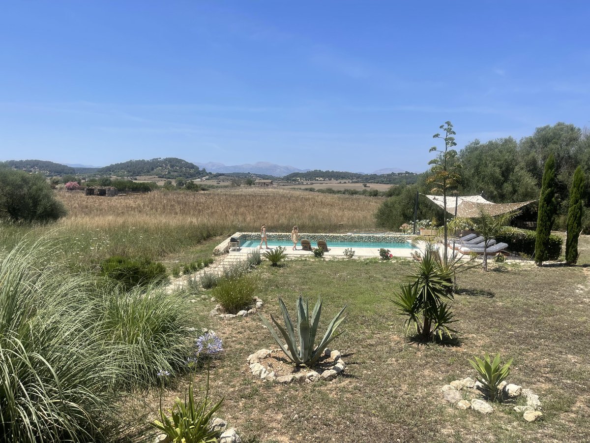 Thumbnail of www-x-com-tomosman-status-1674351450401505280-74bd3b37c4c54bfa