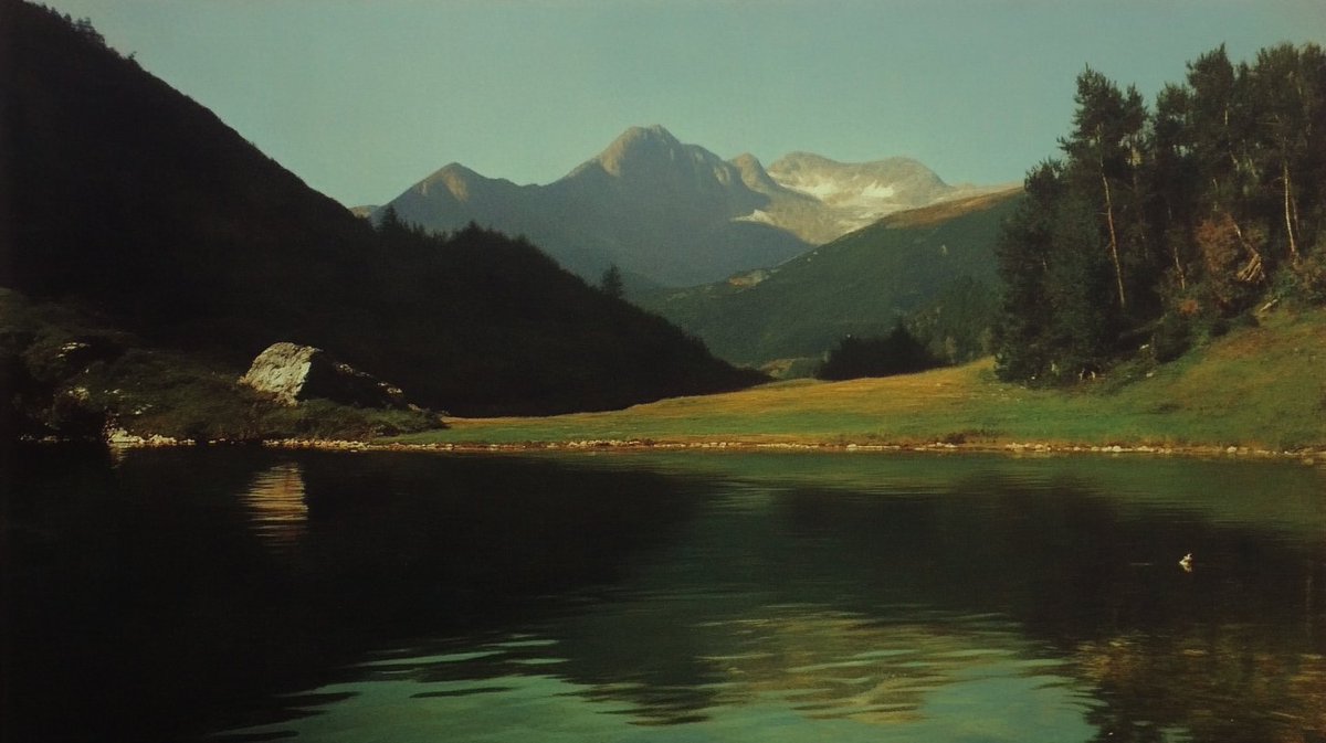 Thumbnail of www-x-com-ciguleva-status-1887561820400930990-77bb680fb9f140b3