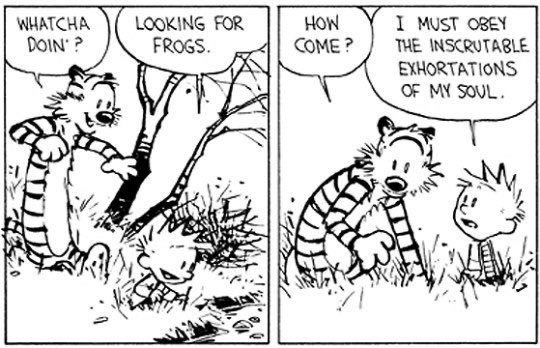 Thumbnail of www-x-com-heynibras-status-1869791986712236345