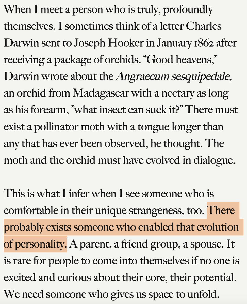 Thumbnail of www-x-com-phokarlsson-status-1812536787970949325