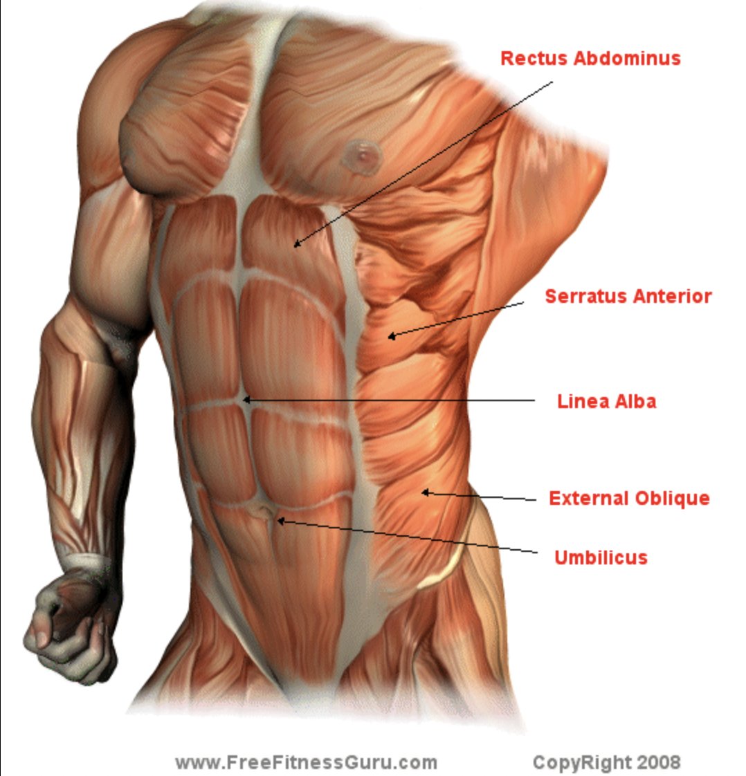 Thumbnail of www-x-com-askcoachkev-status-1584174550396596225-88c70d2eb2a34b1e