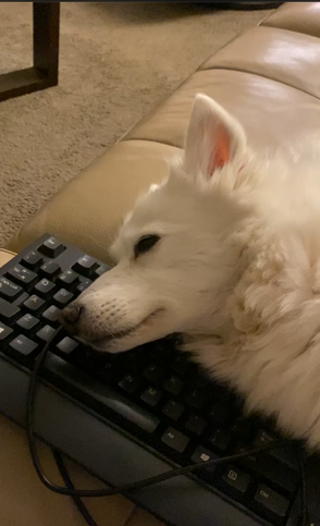 Thumbnail of www-twitter-com-ianhollander-status-1769842041645584602