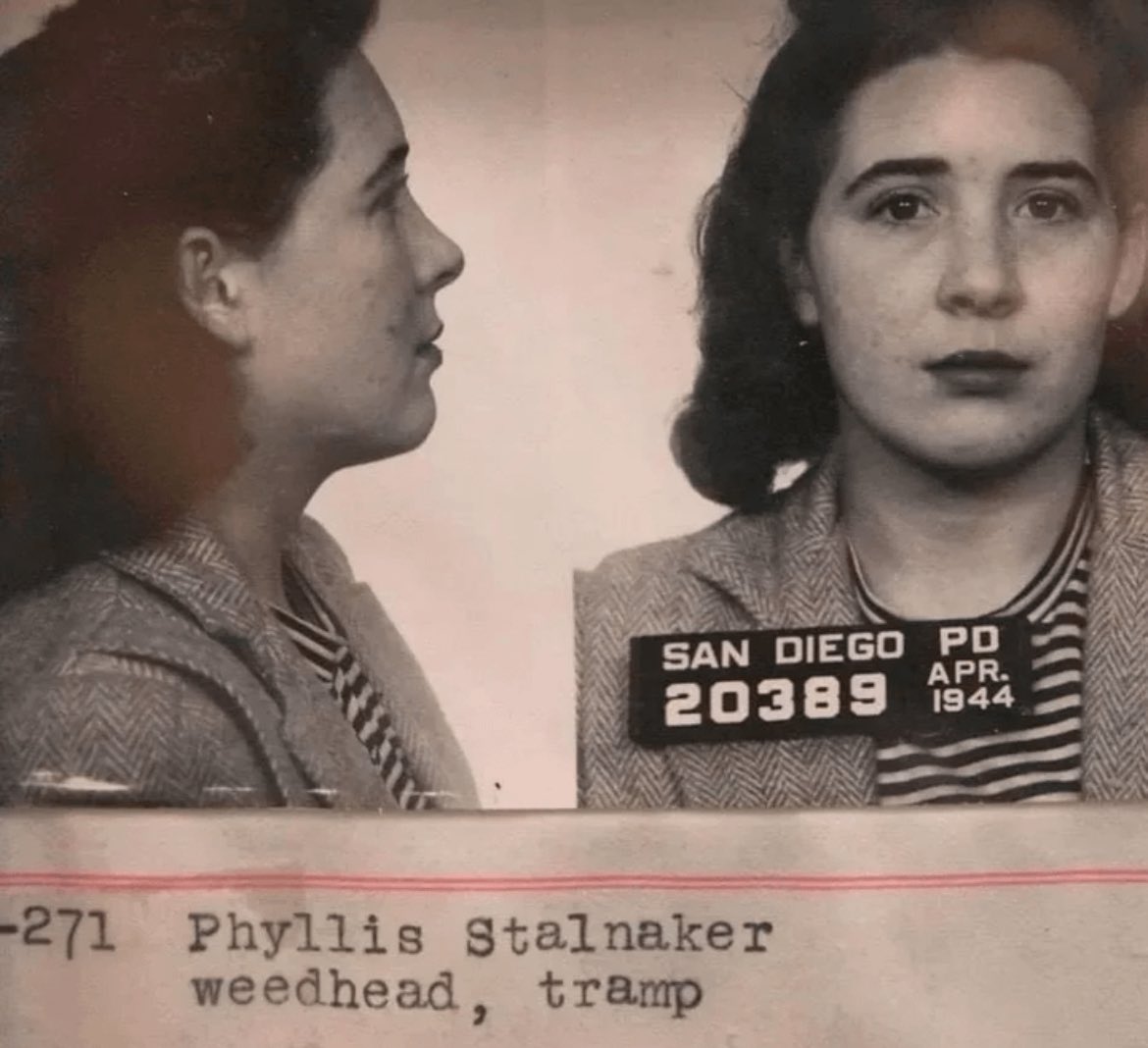 Thumbnail of www-x-com-thechosenberg-status-1871713767933022504