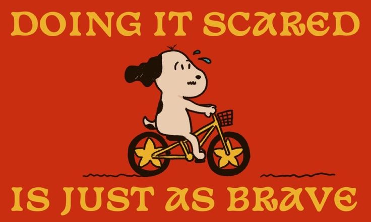 Thumbnail of www-x-com-lovandfear-status-1961987283437154416-ac891284f3364a0e