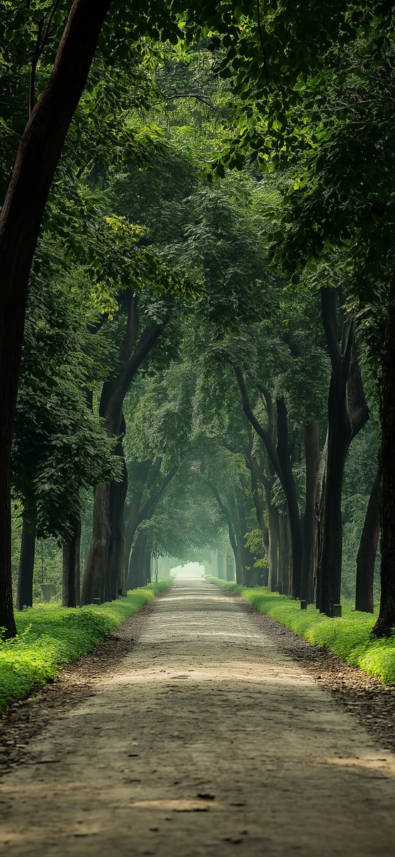 Thumbnail of www-x-com-vukandric-status-1835065255082570101-b6bda03ee9a94a56