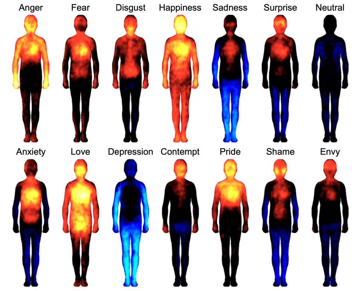 Thumbnail of www-x-com-sahilbloom-status-1653415435356762118-b6d5f4c512d84d6c