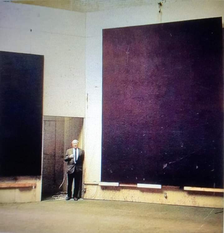 Thumbnail of www-x-com-letiziafrau-status-1791451192217706797-b83591a1b7684142