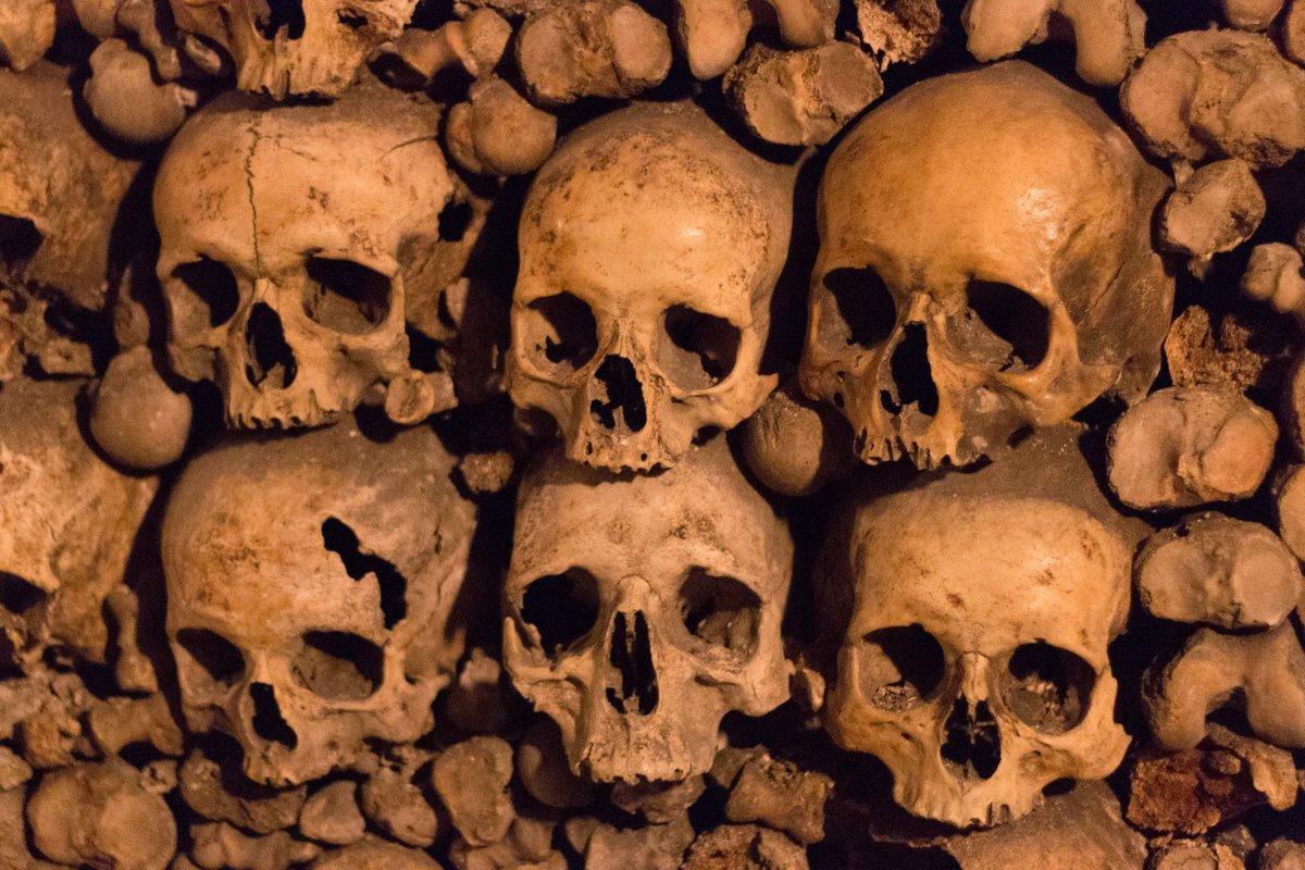 Thumbnail of www-x-com-wystantbs-status-1797261416979935568