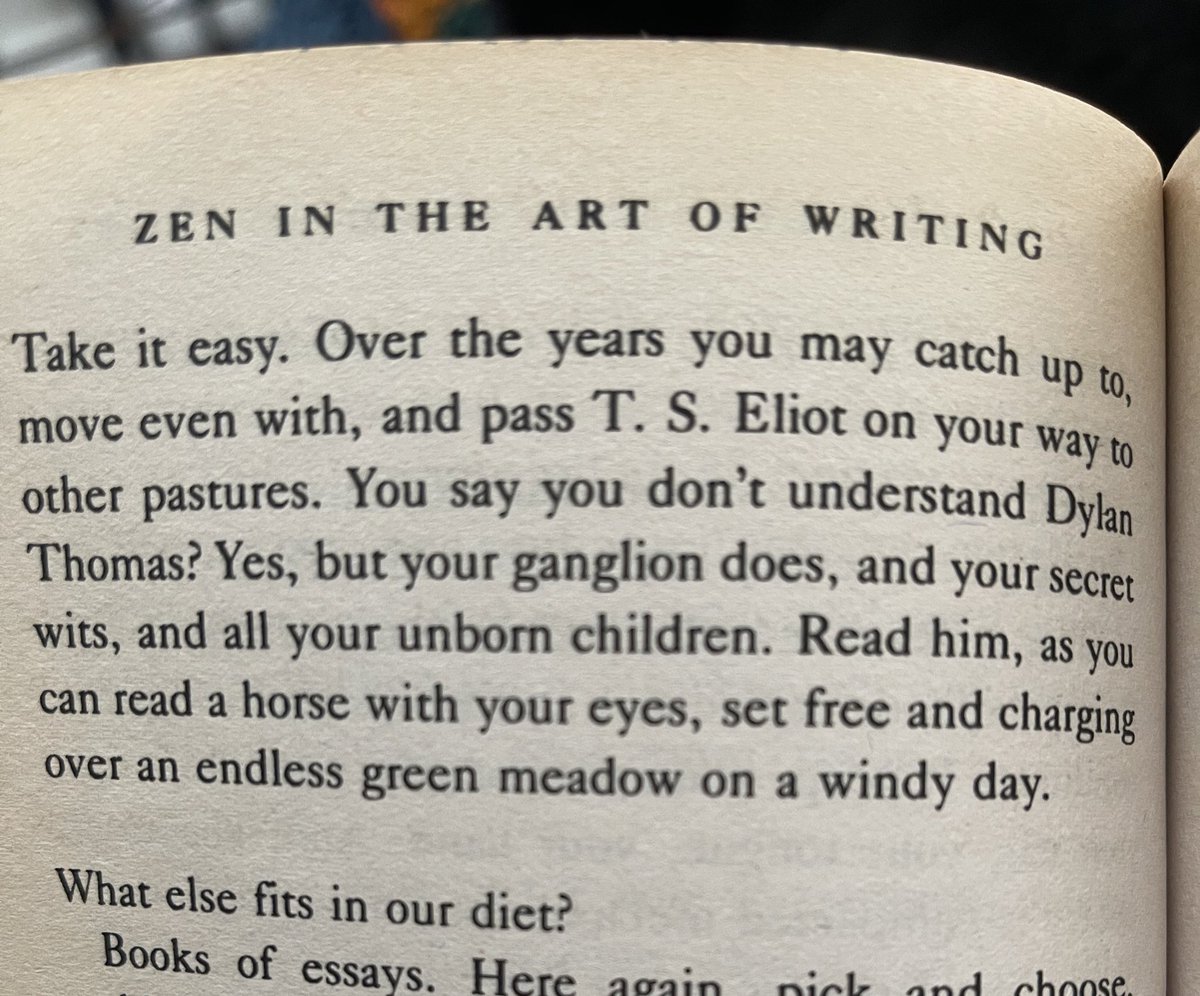 Thumbnail of www-x-com-darbradawn-status-1763199412610756889-de6b511ff2d34d07