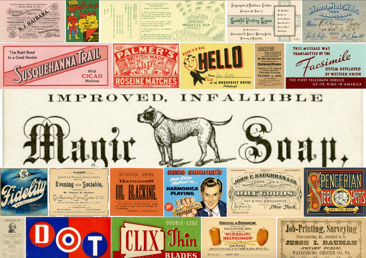 Thumbnail of www-x-com-em-bers-status-1557201049059999744-e0a268f083b14f29