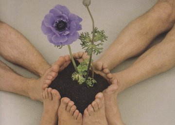 Thumbnail of httpstwittercomvictoriafuturesstatus1525399463589732353