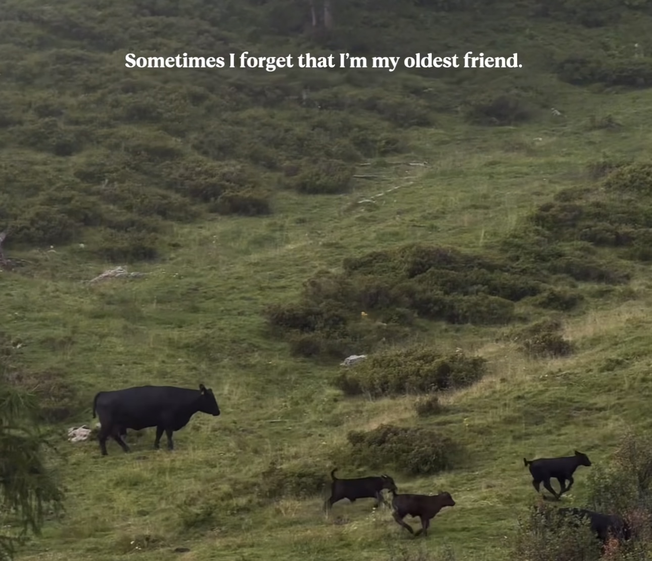 Preview of 57e368181edf-jpg