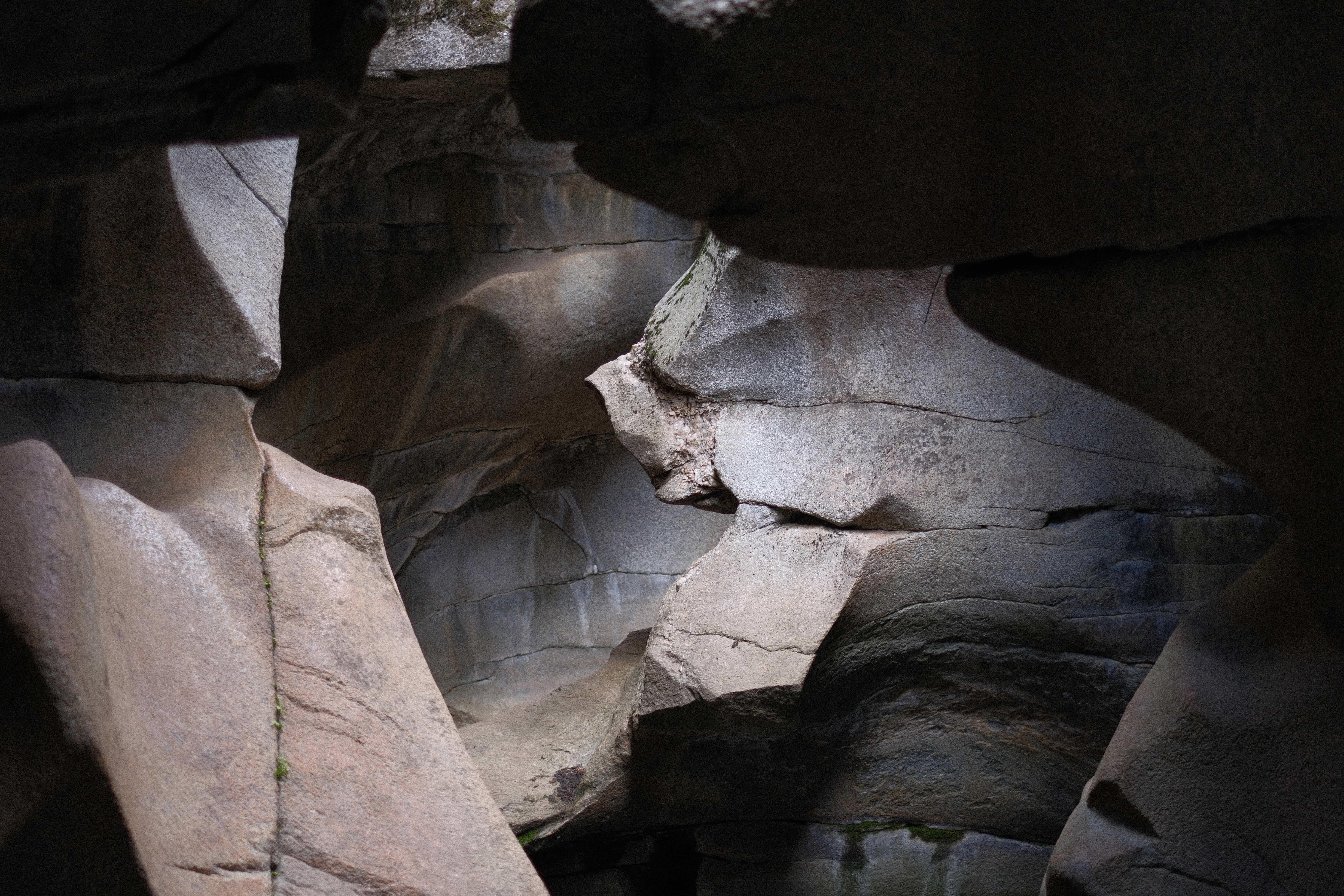 Preview of dscf2585-jpeg