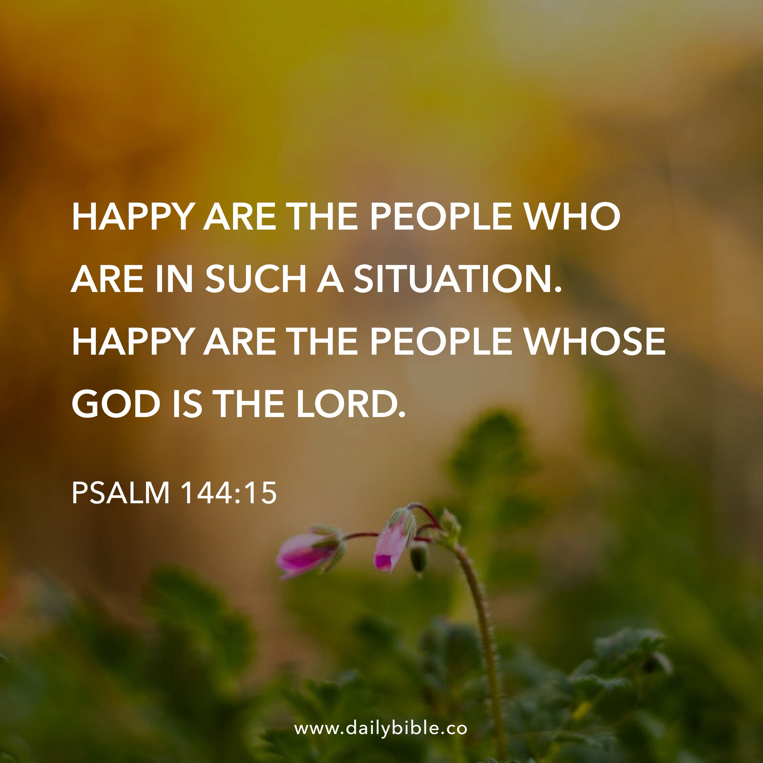 Preview of 25e133c543b9-jpg