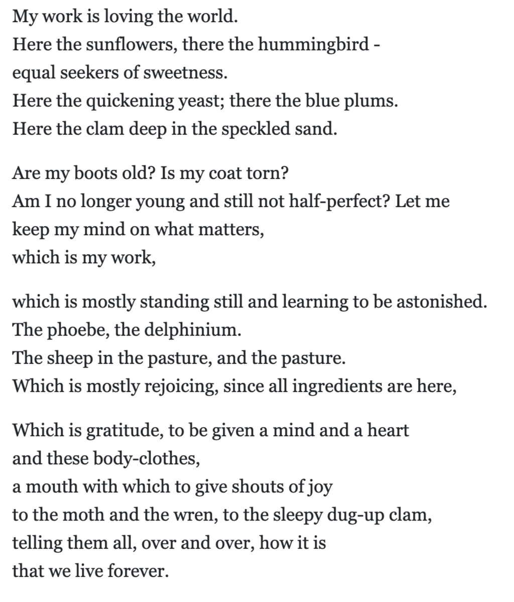 Thumbnail of The Day I Learned Giving, by Dan Clark