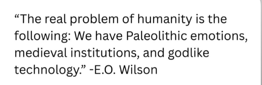 Preview of ad2c83800da5-jpg