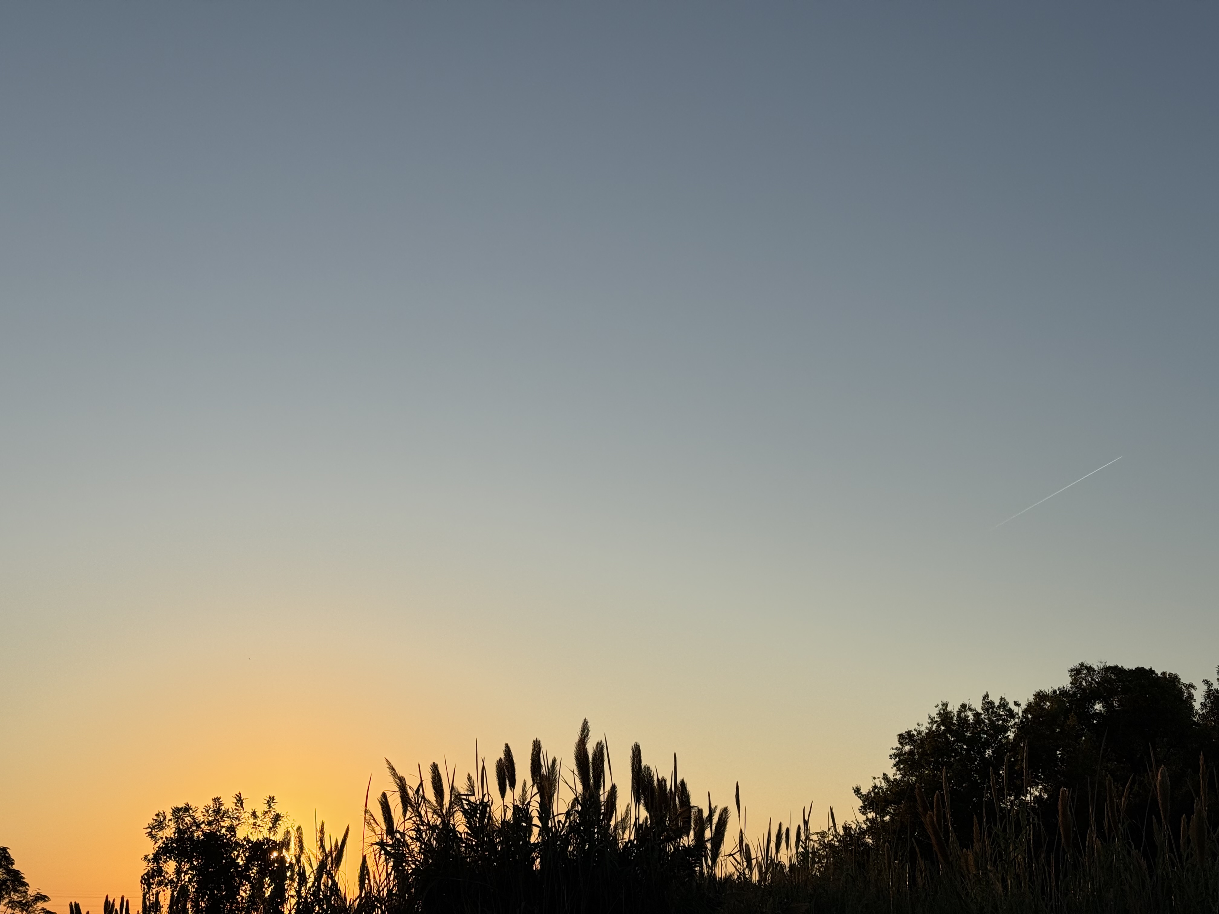 Preview of def169f4cd8a-jpg