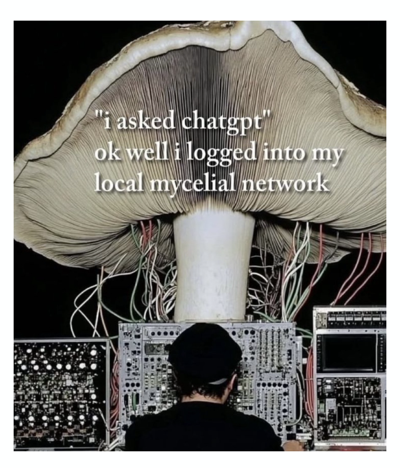 Preview of 24f9a4e14393-png