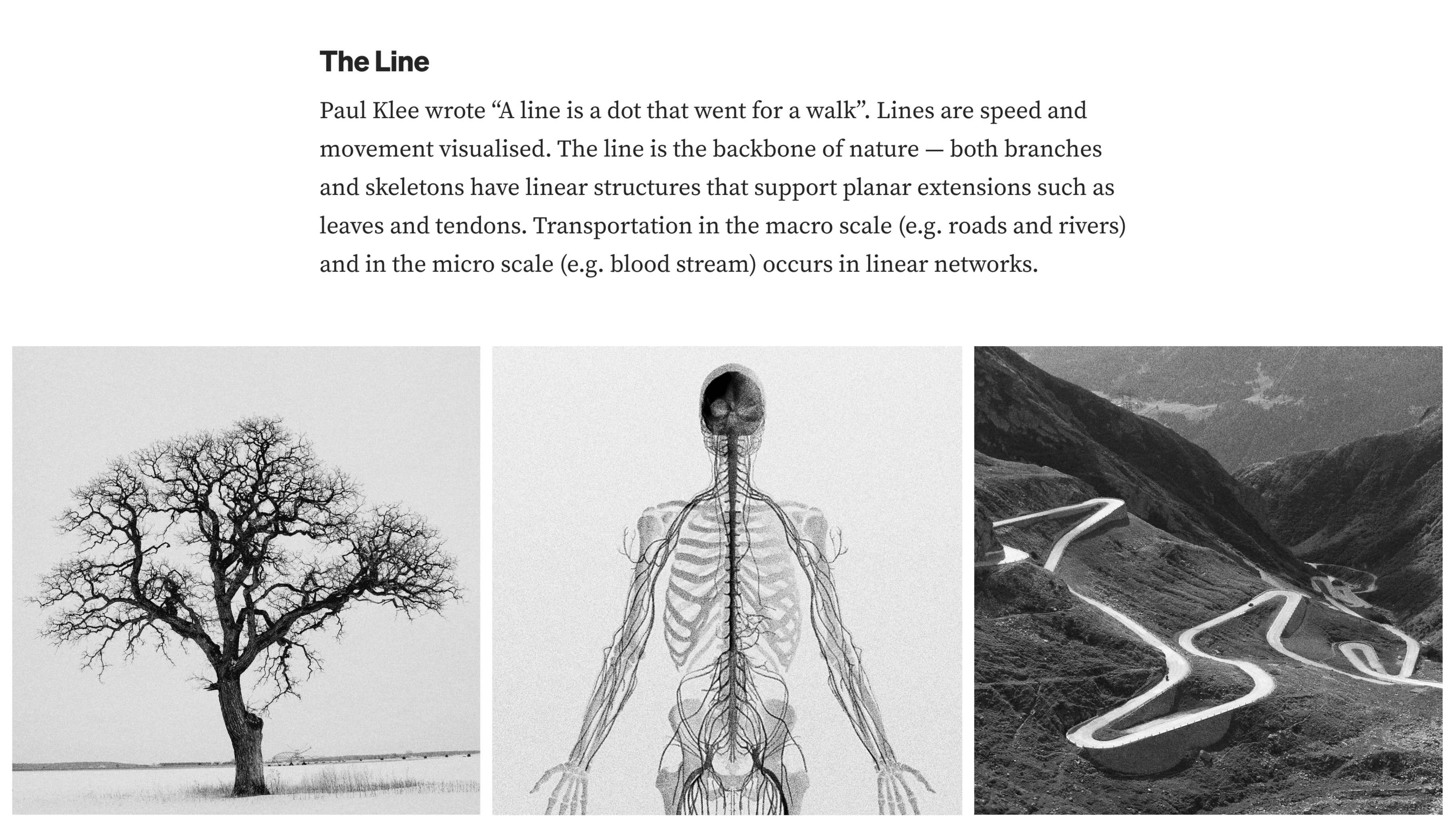 Thumbnail of Creating a brand to serve.