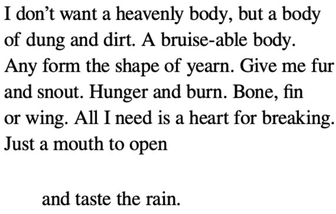 Thumbnail of (19) Likes