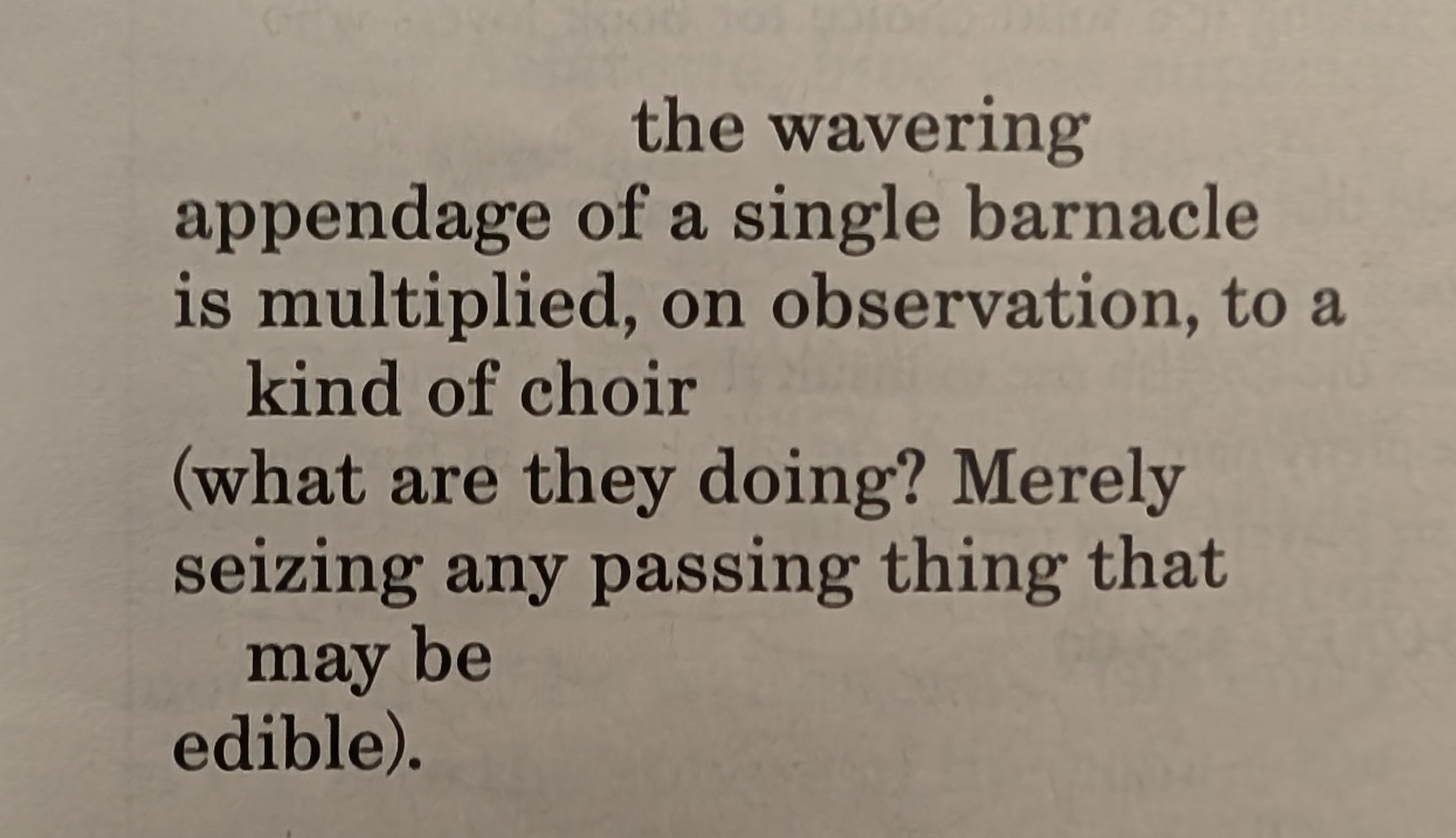 Preview of 223014256night2-jpeg