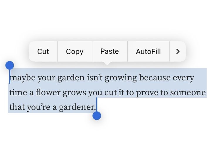 Preview of 5528-jpeg