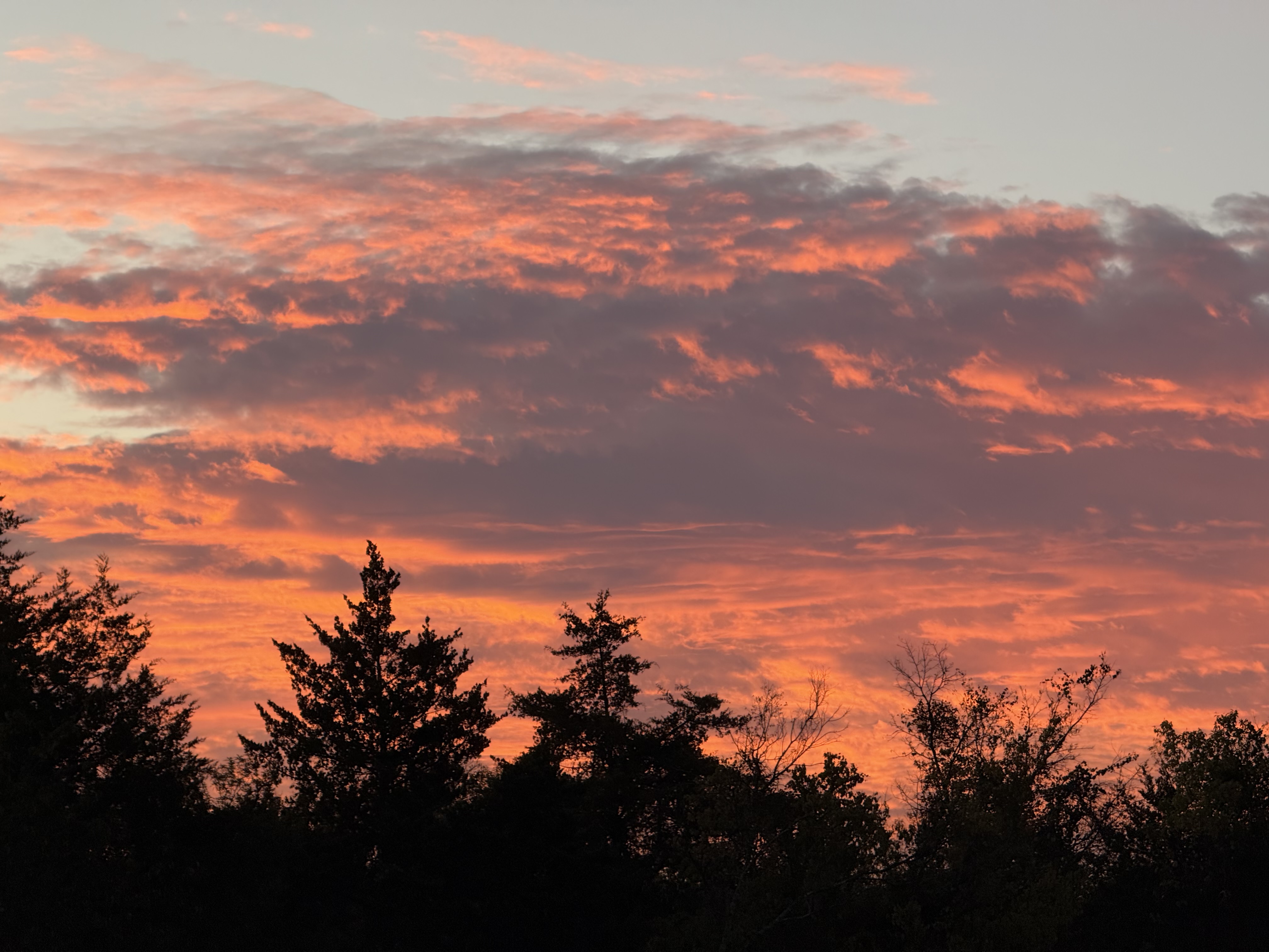 Preview of e94ad3346635-jpg