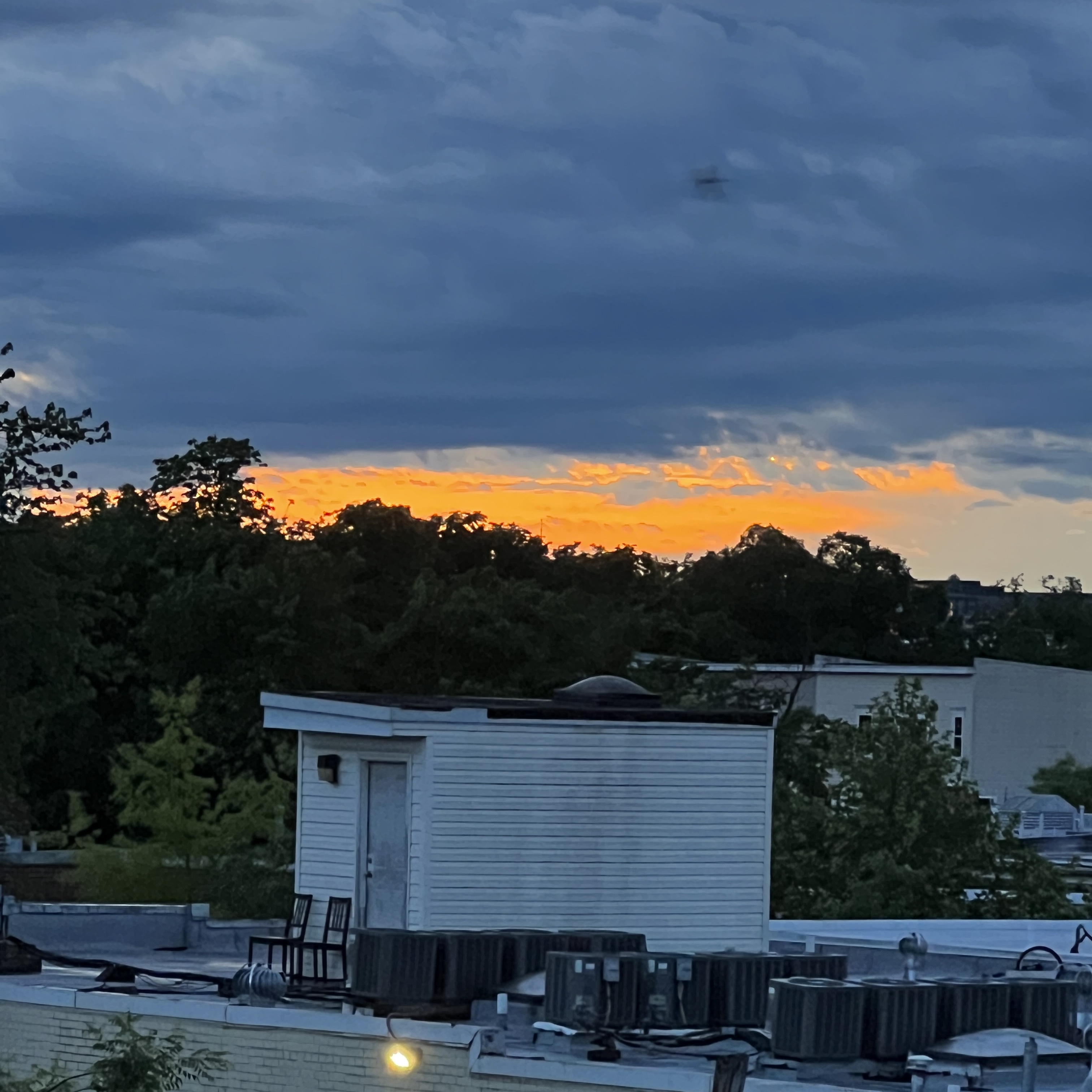 Preview of 4709-jpeg-3f6887010fa0425f