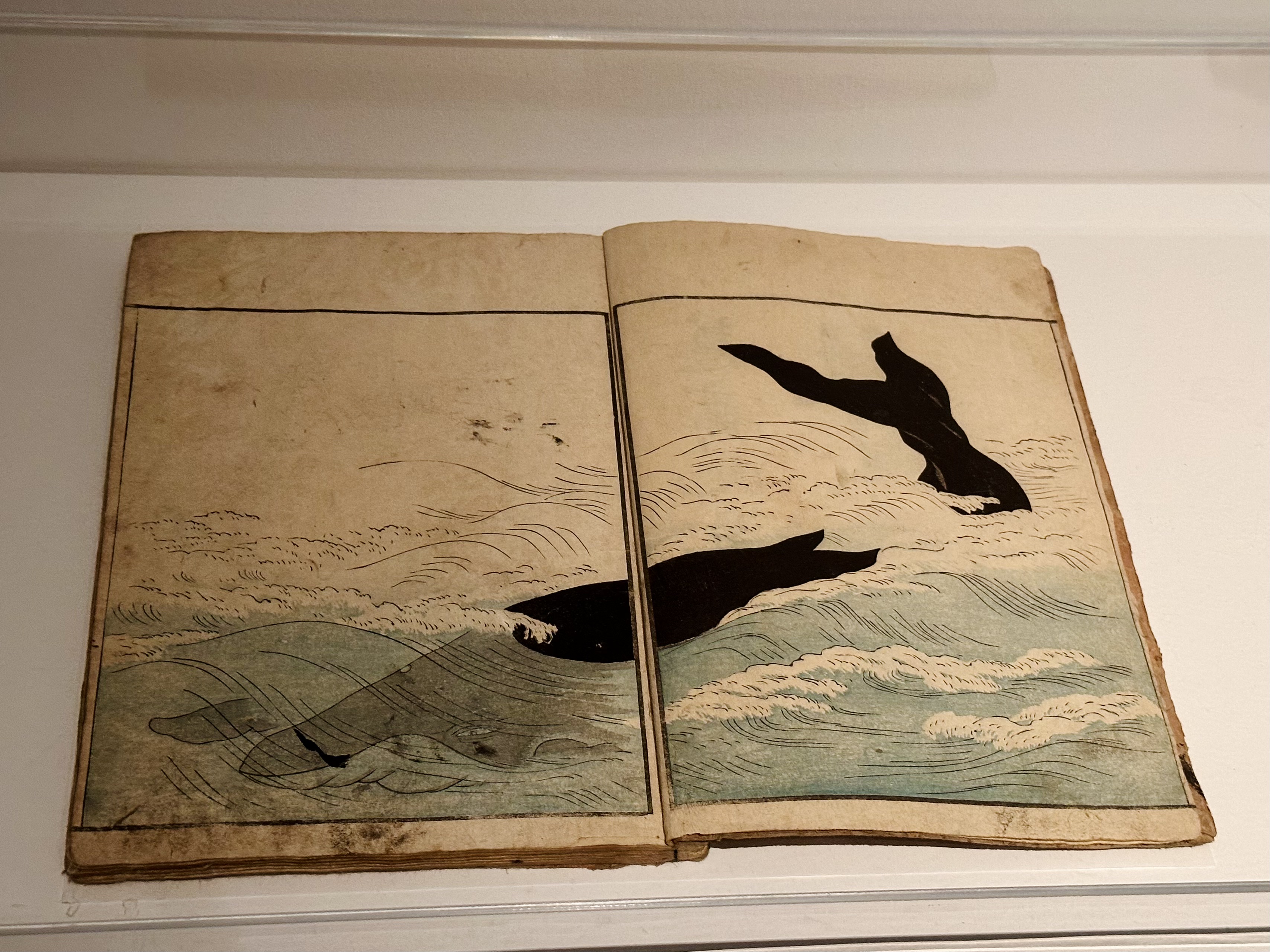 Preview of 9962-jpeg-8a573e096b3246ab