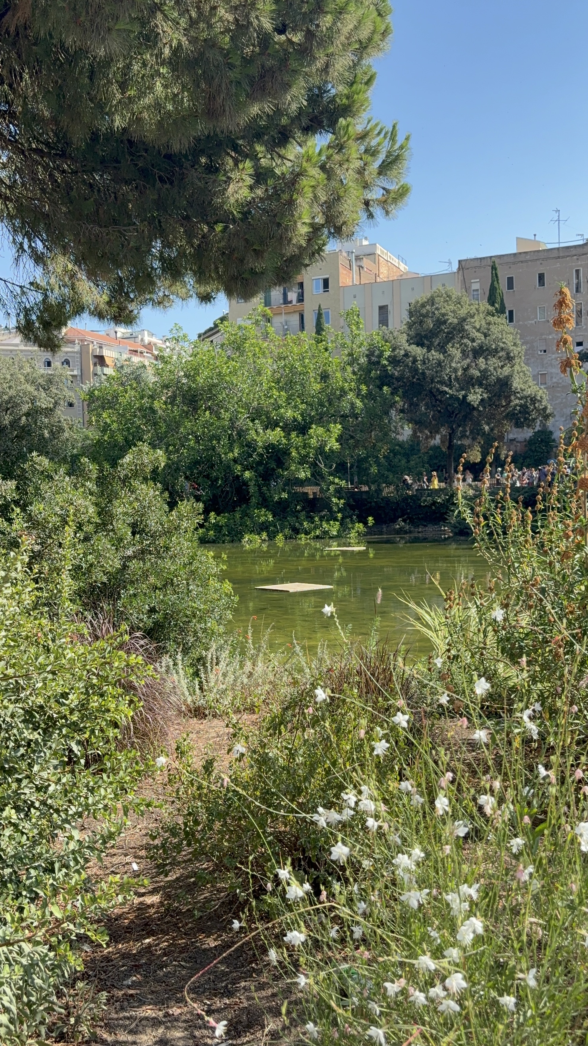 Preview of 3955-jpeg