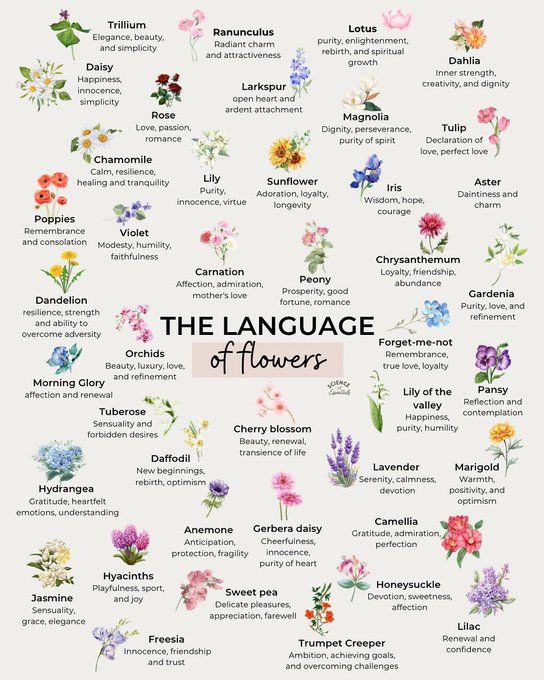 Preview of flowers-jpeg-7ae04cd1306b475f