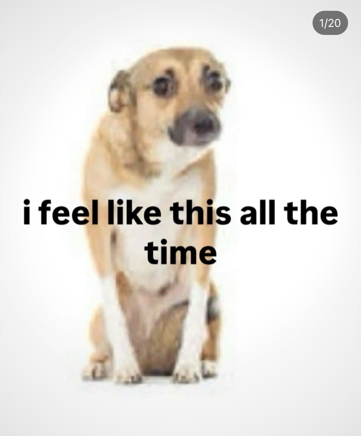 Preview of 8042-jpeg