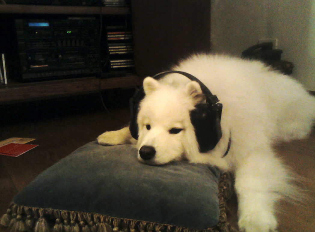 Thumbnail of Reblog by @kosmogrl