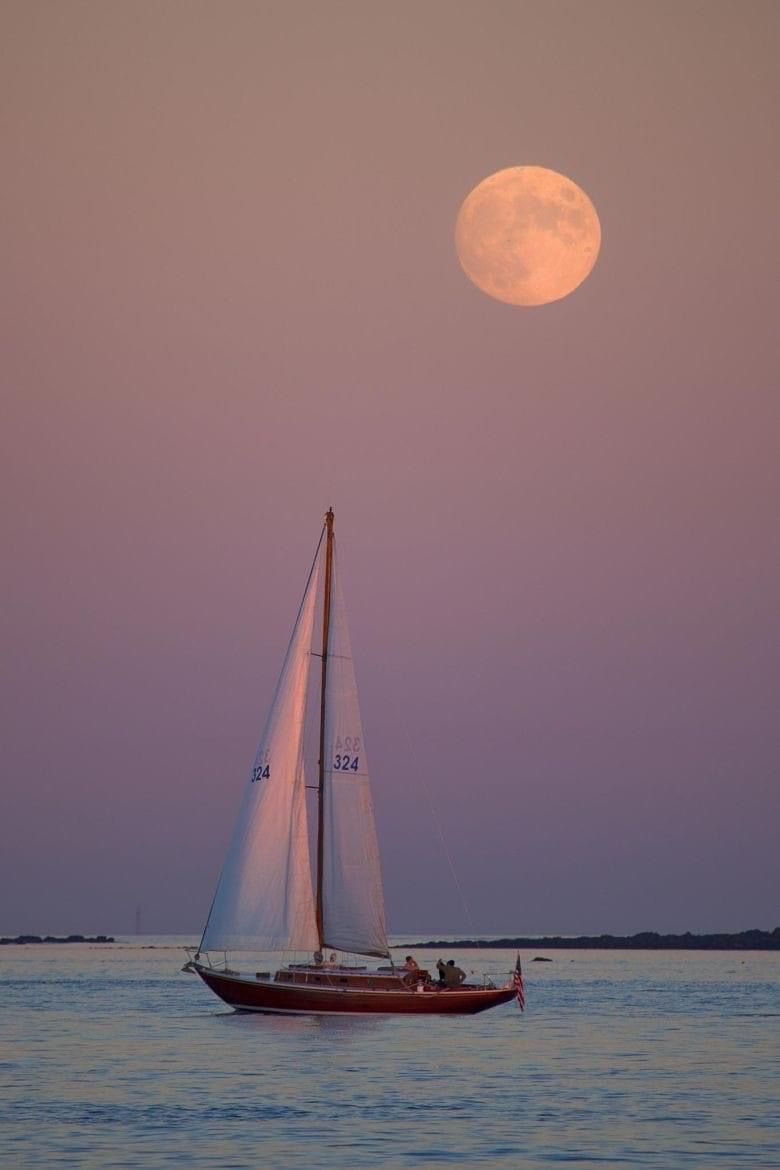 Preview of 0272-jpeg