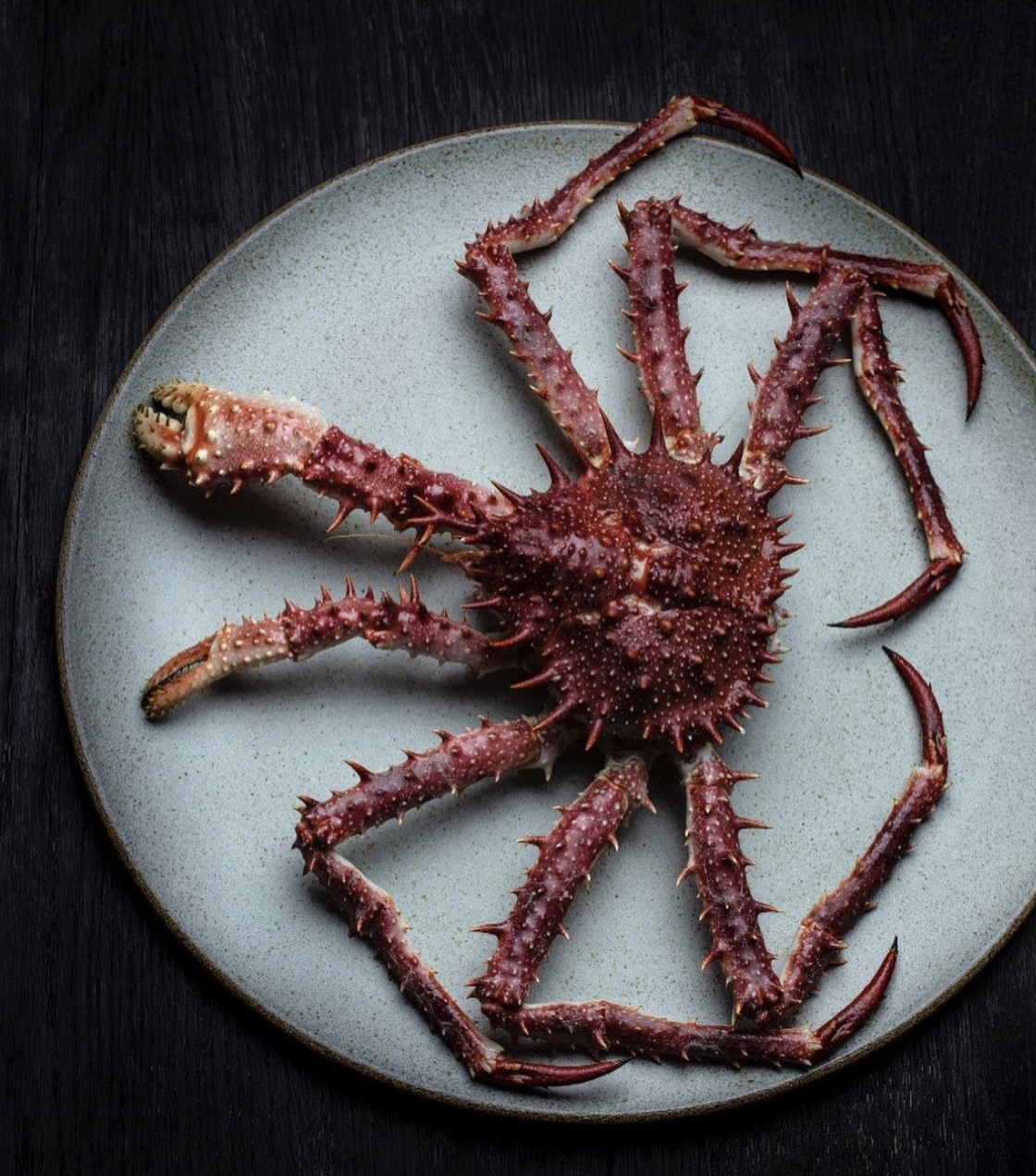 Preview of 13648pm-png