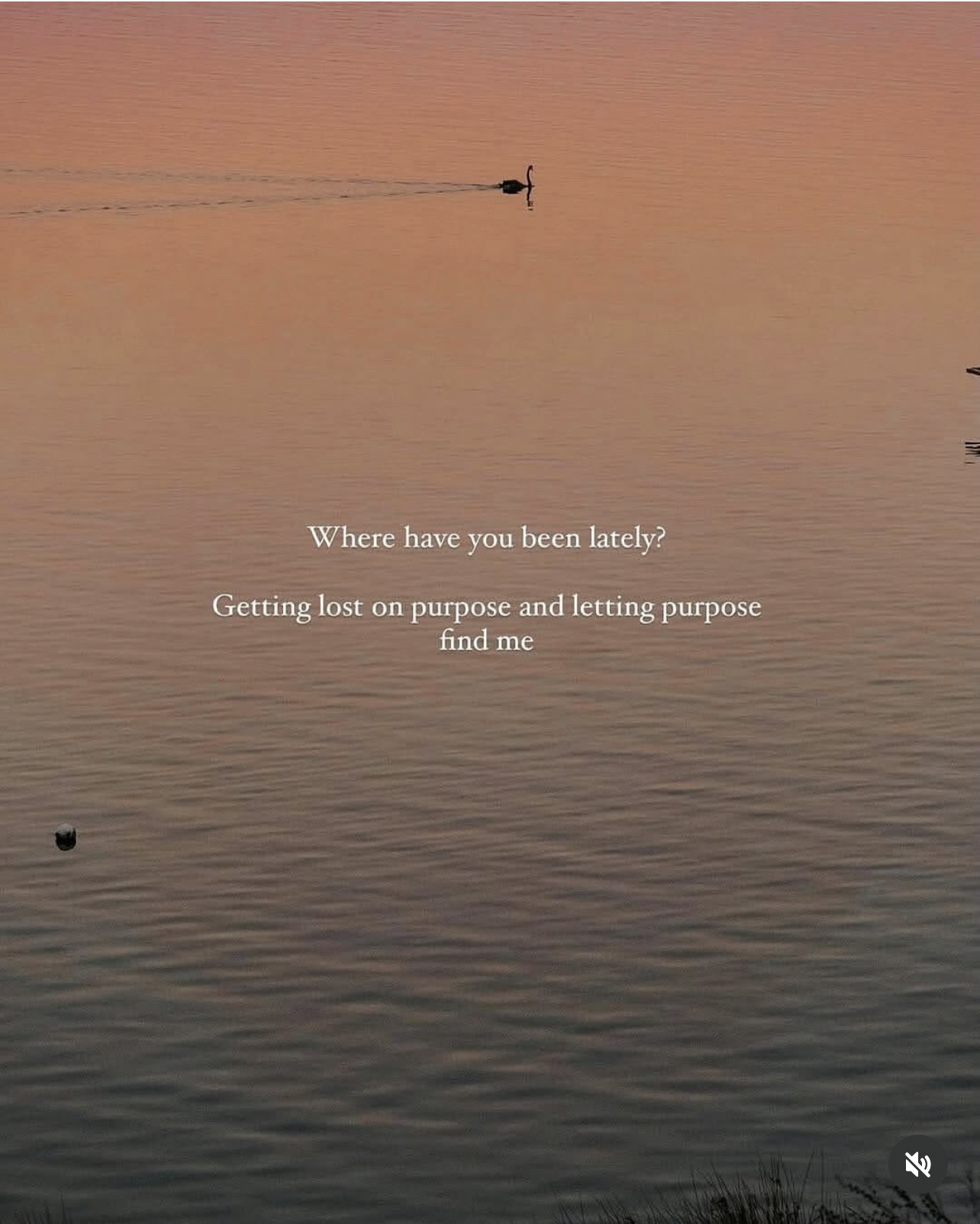 Preview of e7be0d35e3f0-png