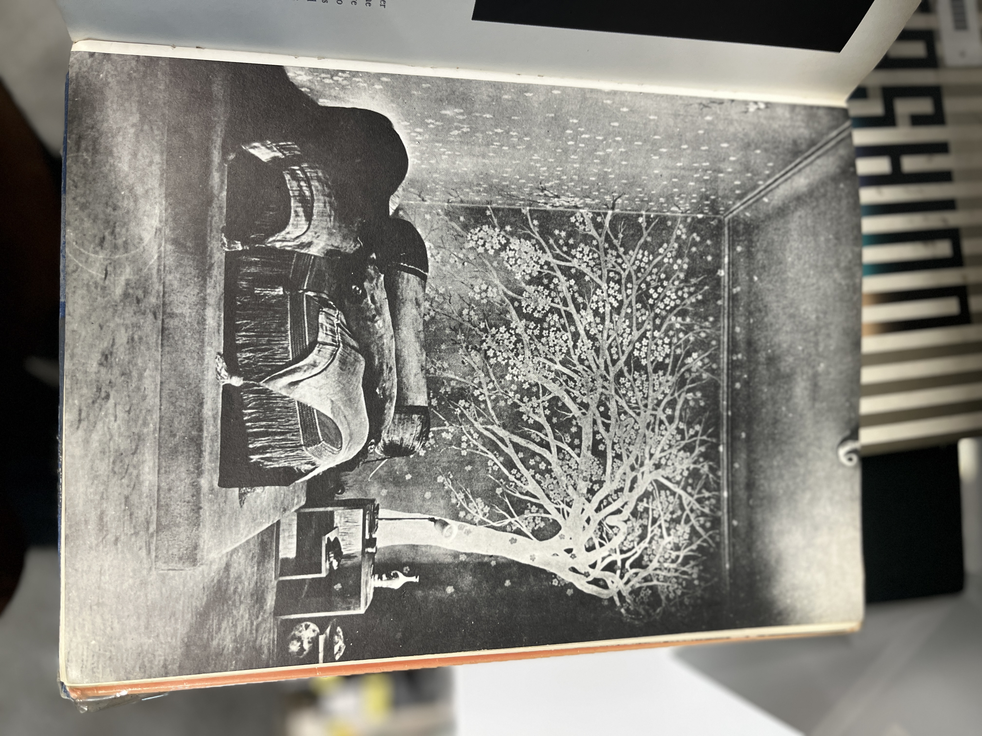 Preview of 1081-jpeg