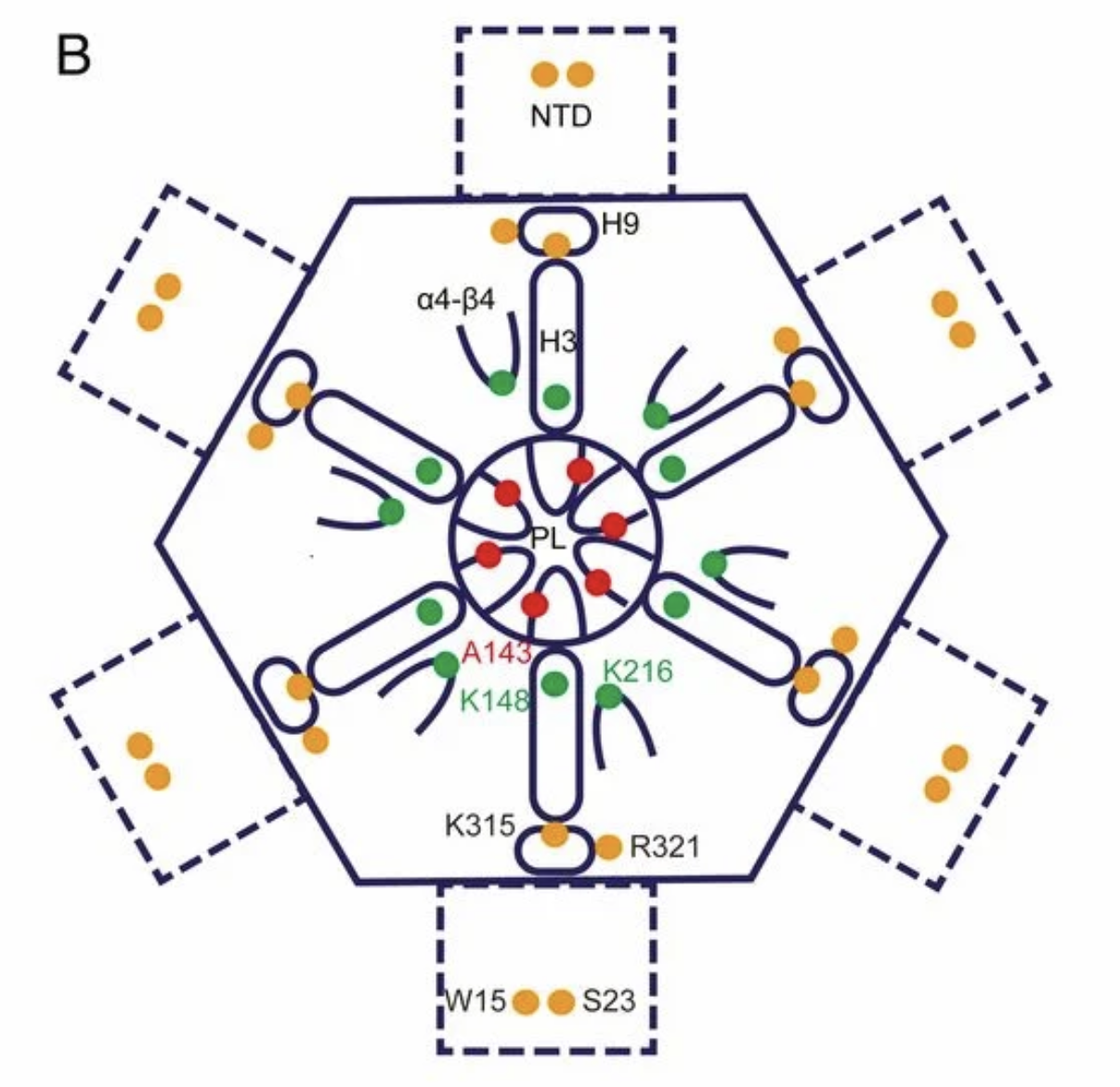 Preview of 154412-png
