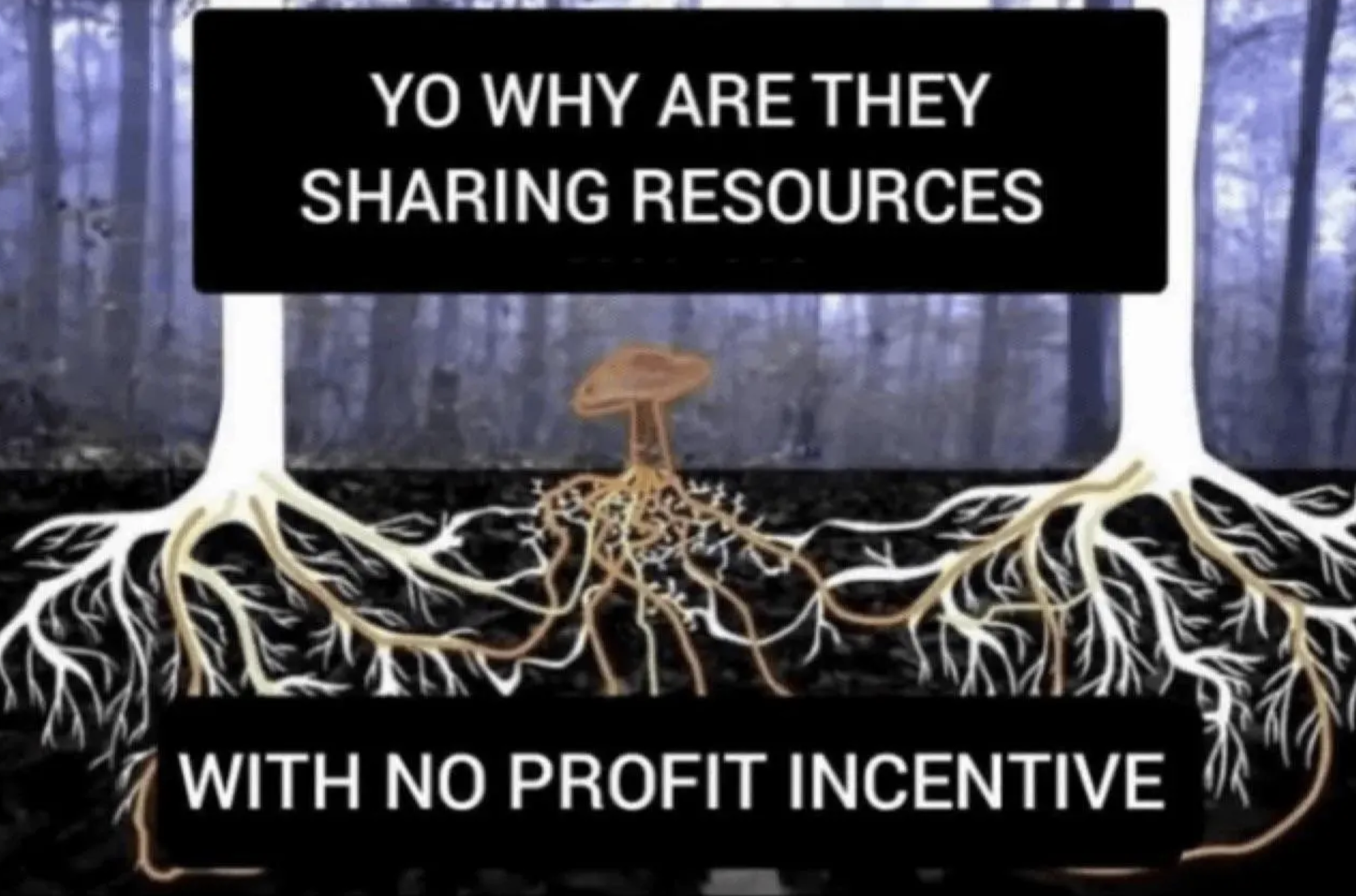 Preview of 94650pm-png